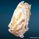 Pesce portacandela in metallo bianco e oro XXL