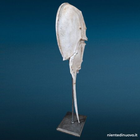 Elemento decorativo in resina a forma di scheletro con coda