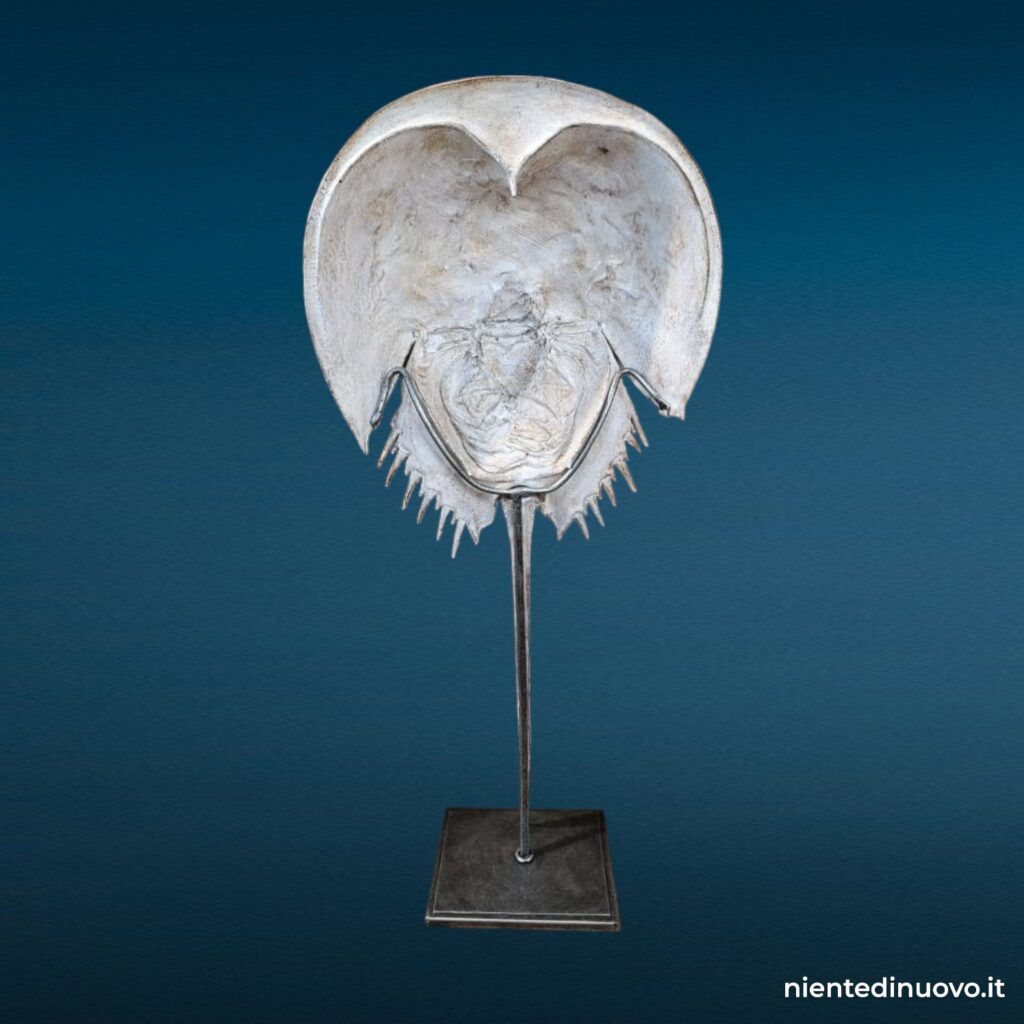 Elemento decorativo in resina a forma di scheletro con coda