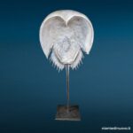 Elemento decorativo in resina a forma di scheletro con coda