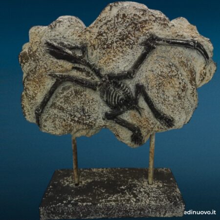 Elemento decorativo raffigurante scheletro fossile (design vintage)