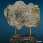 Elemento decorativo raffigurante scheletro fossile (design vintage)