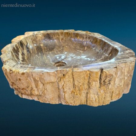 Lavandino fossile grande in legno pietrificato