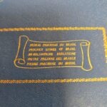 vecchia collezione di pietre preziose del Brasile in cofanetto da viaggio
