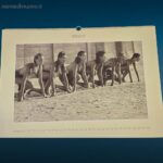 Calendario Pirelli originale 1990 numero 35527 con fotografie di Arthur Elgort