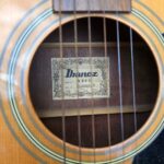 Chitarra Ibanez V300 vintage con custodia rigida e accessori