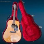 Chitarra Ibanez V300 vintage con custodia rigida e accessori