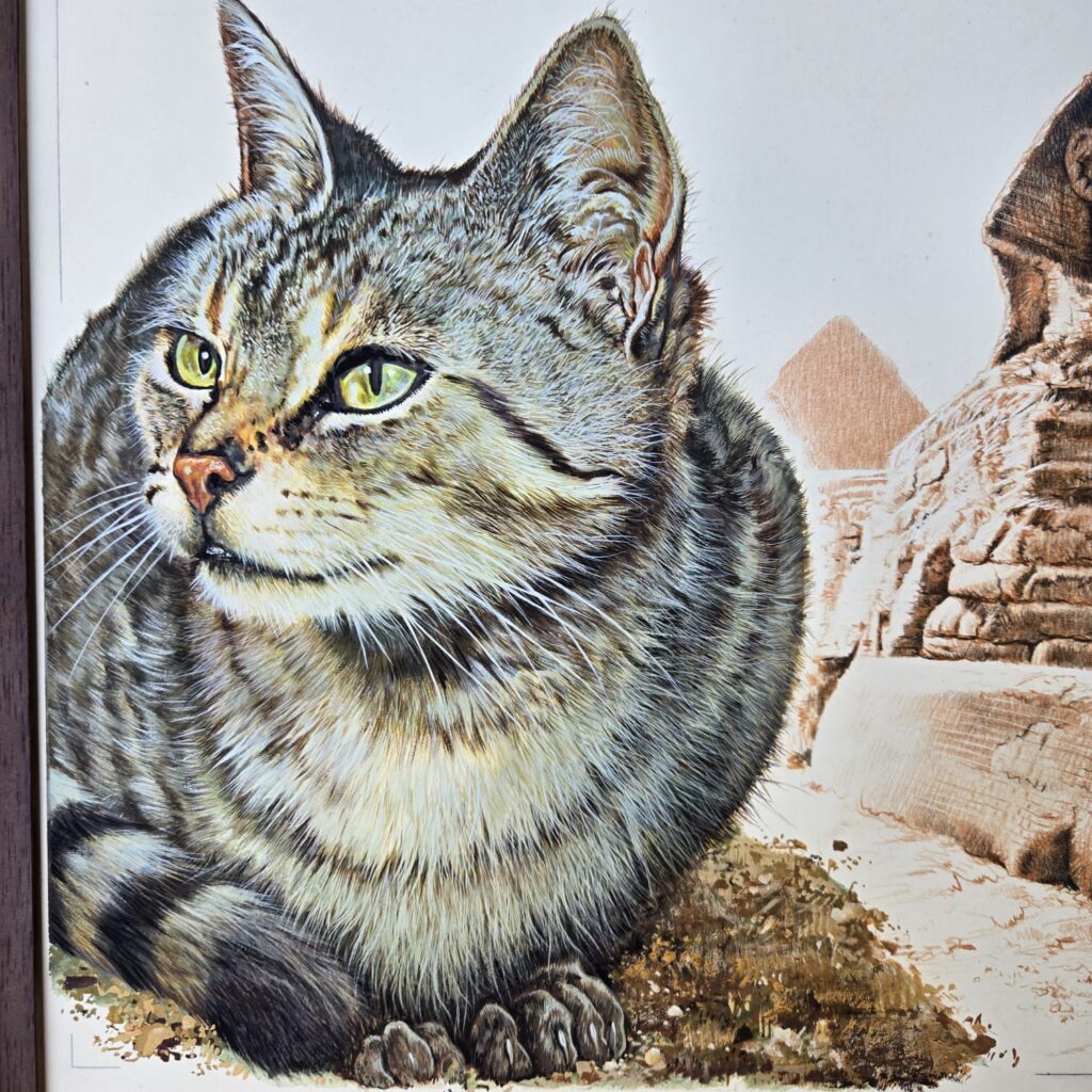 Disegno originale incorniciato firmato da Piero Cozzaglio, anno 1987