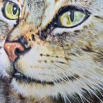 Disegno originale incorniciato firmato da Piero Cozzaglio, anno 1987