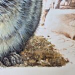 Disegno originale incorniciato firmato da Piero Cozzaglio, anno 1987