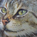Disegno originale incorniciato firmato da Piero Cozzaglio, anno 1987