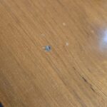 41494_8 Tavolino vintage ISA anni '50 in ferro e noce, design italiano originale