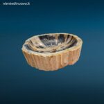 Lavandino Fossile Misura Grande in legno pietrificato con foro per scarico