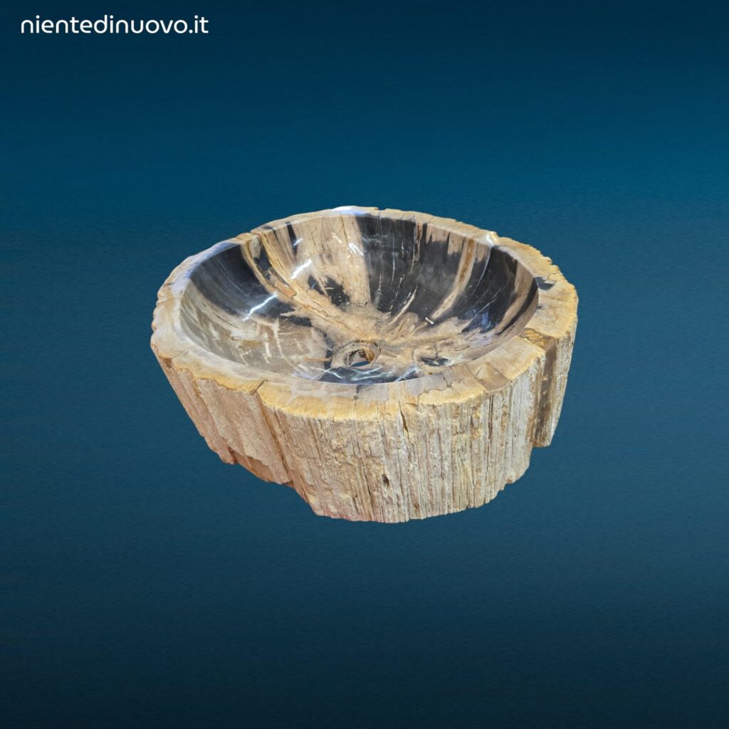 Lavandino Fossile Misura Grande in legno pietrificato con foro per scarico