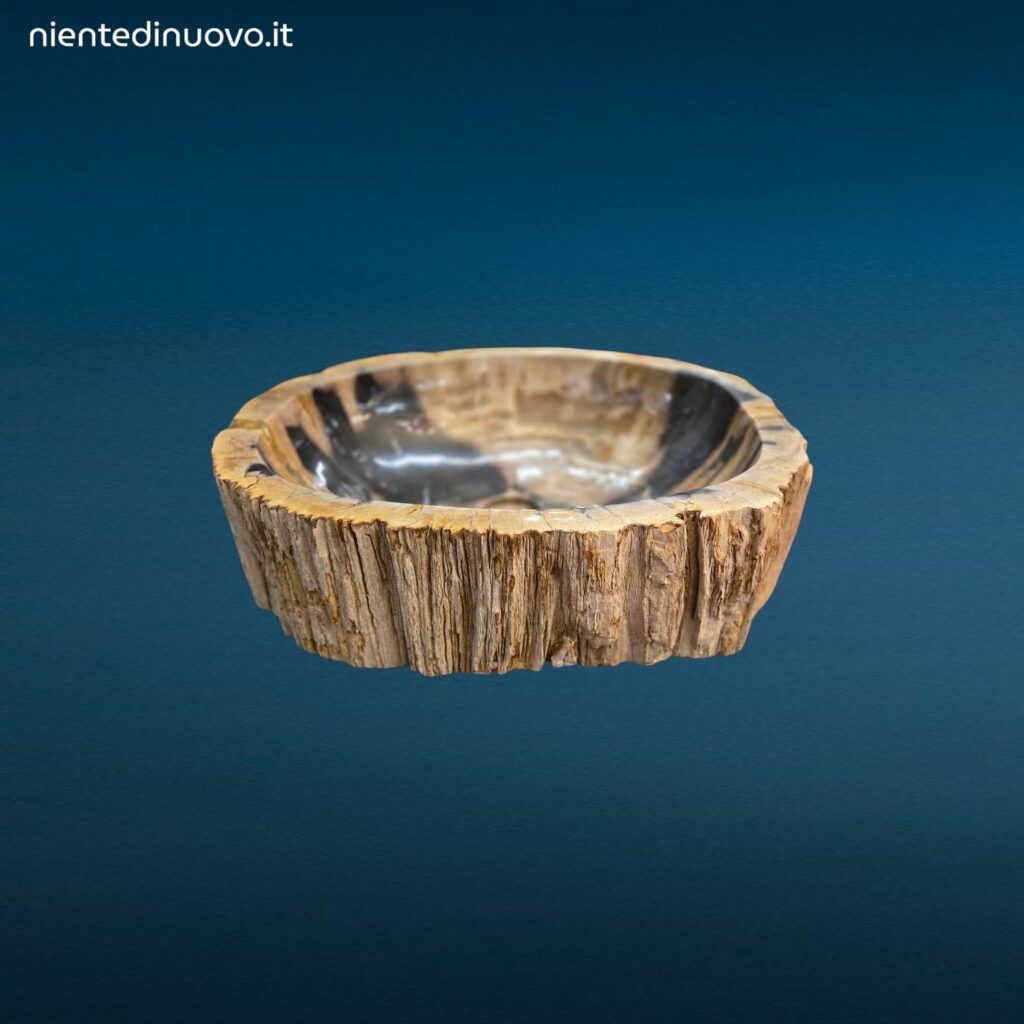 Lavandino Fossile Misura Grande in legno pietrificato con foro per scarico