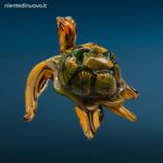 04448_2.jpg Scultura decorativa a forma di tartaruga realizzata in vetro con venature colorate