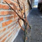 04536_4.jpg Scudo decorativo in ferro con leonessa e armi incrociate in rilievo