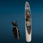 41528_2.jpg Specchio da terra ad unghia Lipstick anni 70 colore nero o beige