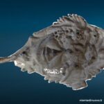 Maschera veneziana artigianale in cartapesta decorata