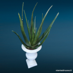 Vaso in ghisa a calice con aloe artificiale