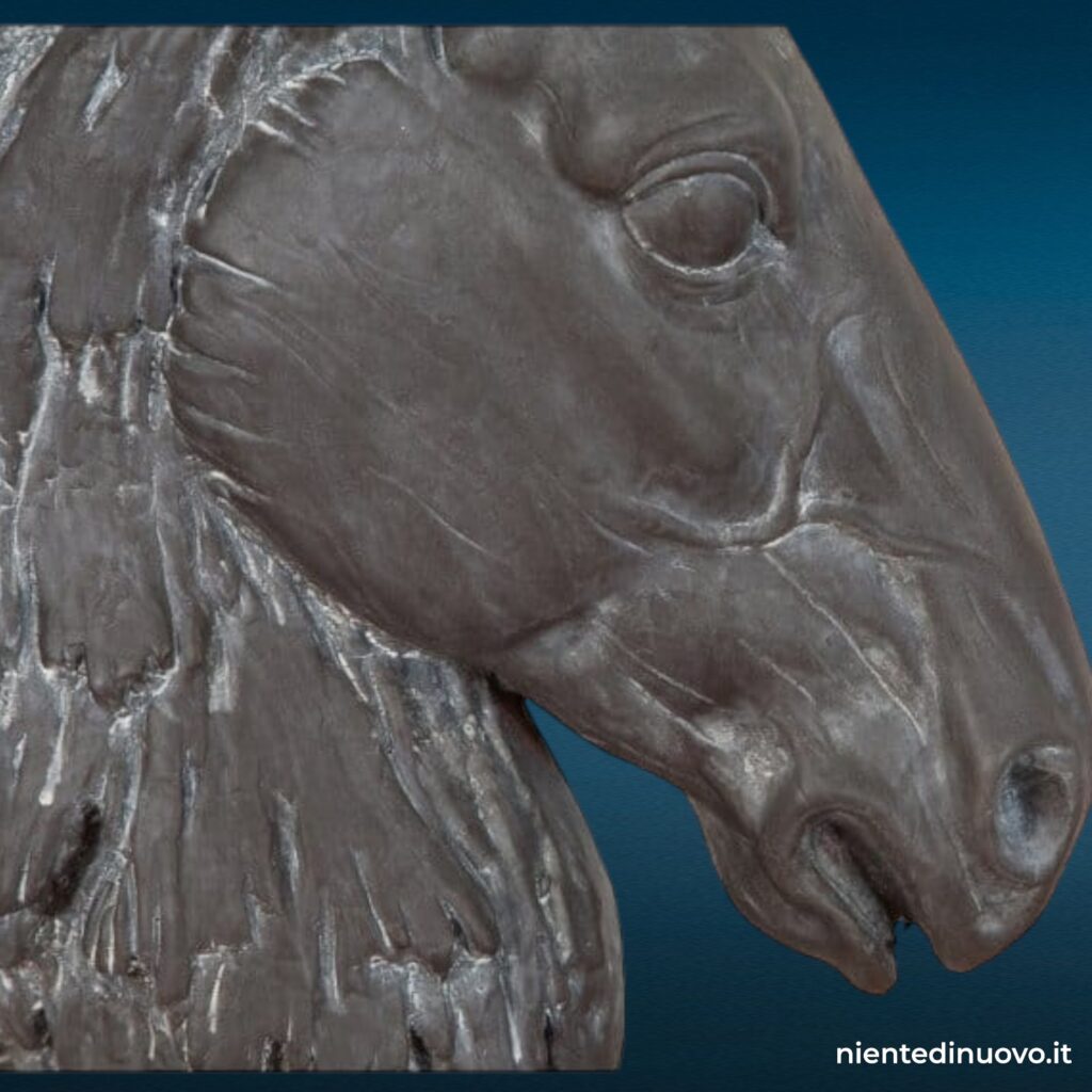 Testa cavallo 29x41