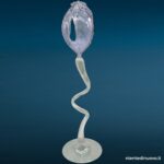 Fiore in vetro soffiato di Murano
