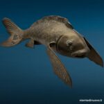 Scultura pesce Koi in ottone 40 cm con patina - immagine aggiuntiva 8