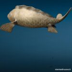 Scultura pesce Koi in ottone 40 cm con patina - immagine aggiuntiva 4