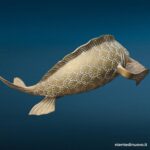 04767_2.jpg Scultura pesce koi in ottone 32 cm con patina - immagine aggiuntiva 3