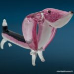 Scultura di bassotto in vetro rosa e nero - immagine aggiuntiva 3